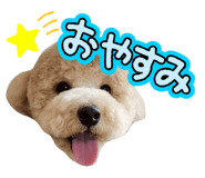 773800031