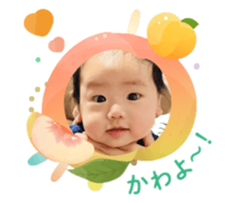 773801855