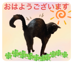 773802254