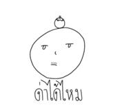 773802546