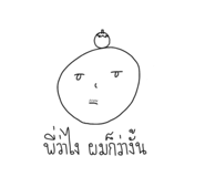 773802549