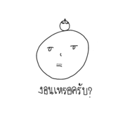 773802554