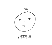 773802555
