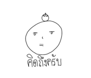 773802556