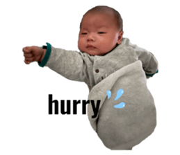 773802934