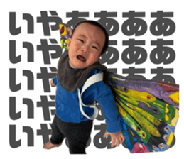 773803085