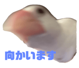 773803490