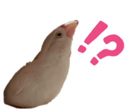 773803495