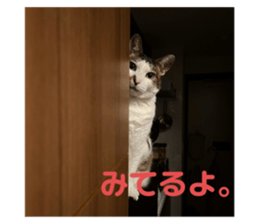 773804213