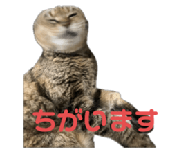 773804246