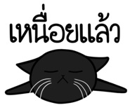 773804492