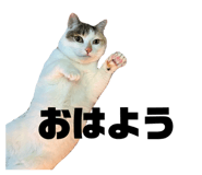 773805513
