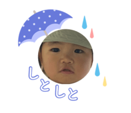 773805541