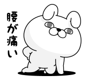 773806085