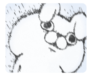 773806097