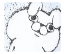 773806097