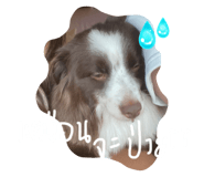 773815734