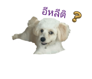 773818305