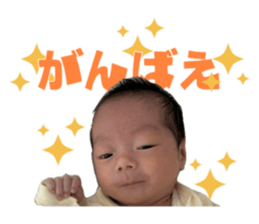 773819892