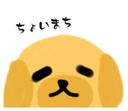 773830181
