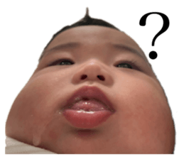 773830264