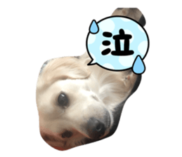 773830351