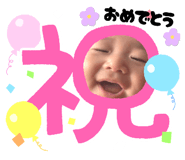 773830536