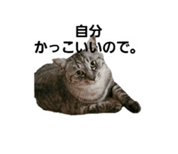 773835305