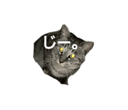 773835312