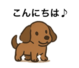 773836305