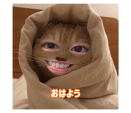 773836896