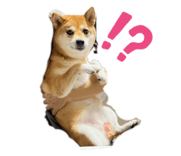 773837849