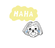 773840769