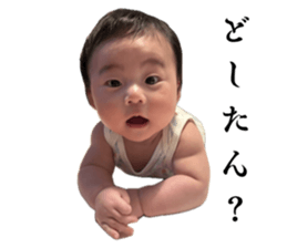 773845240