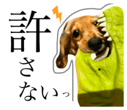 773849939