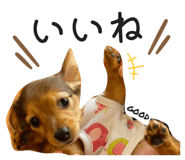 773849940