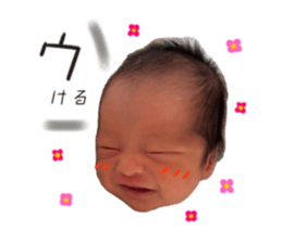 773850979