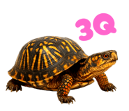 773855162