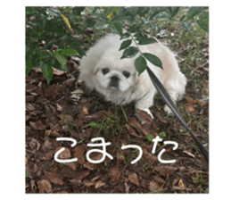 773863049
