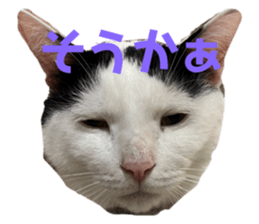 773863607