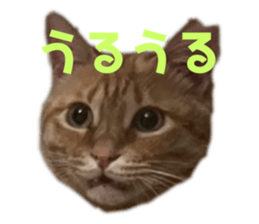 773863625