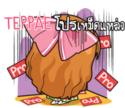 773876537