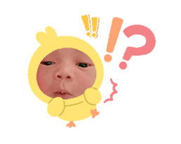 773885259