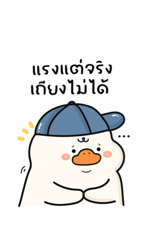 773886081