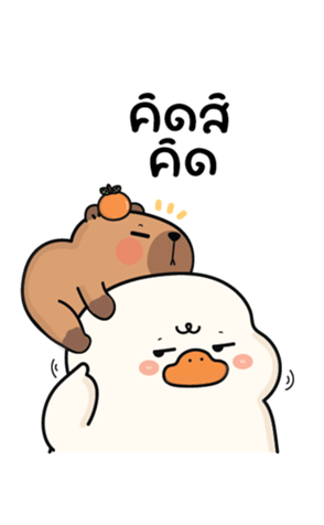 773886087