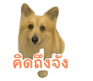 773887512