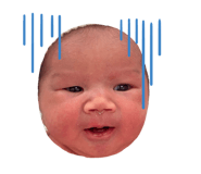 773891244