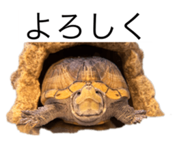 773892026