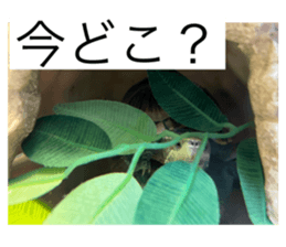 773892029