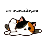 773892596